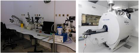 medium/medium-IC-75-570-e493-gf2.png
