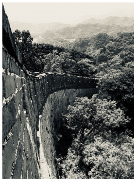 medium/medium-IC-74-567-e455-gf7.png